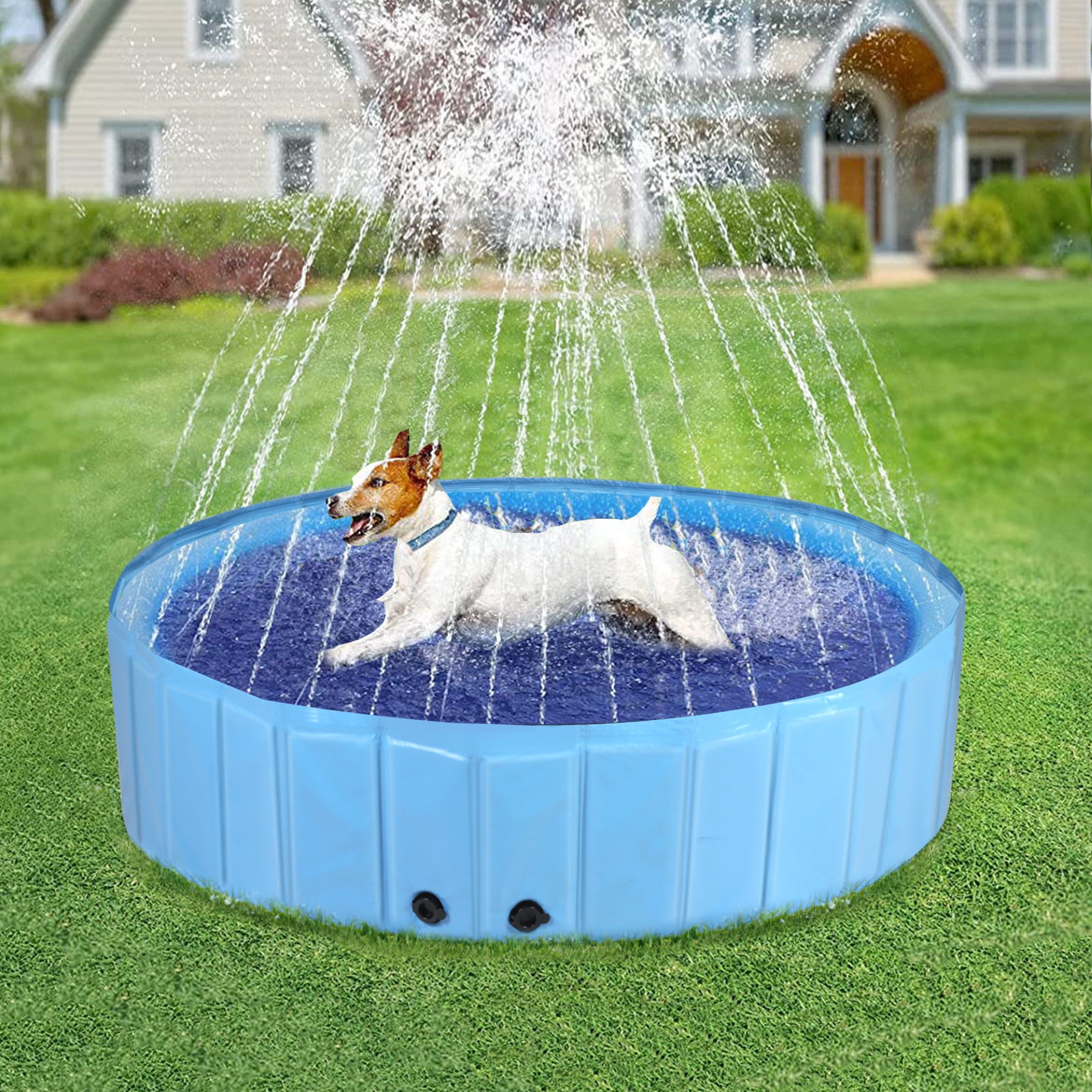 Yaheetech Foldable Dog Pool 79 X 12 Inches Collapsible Hard