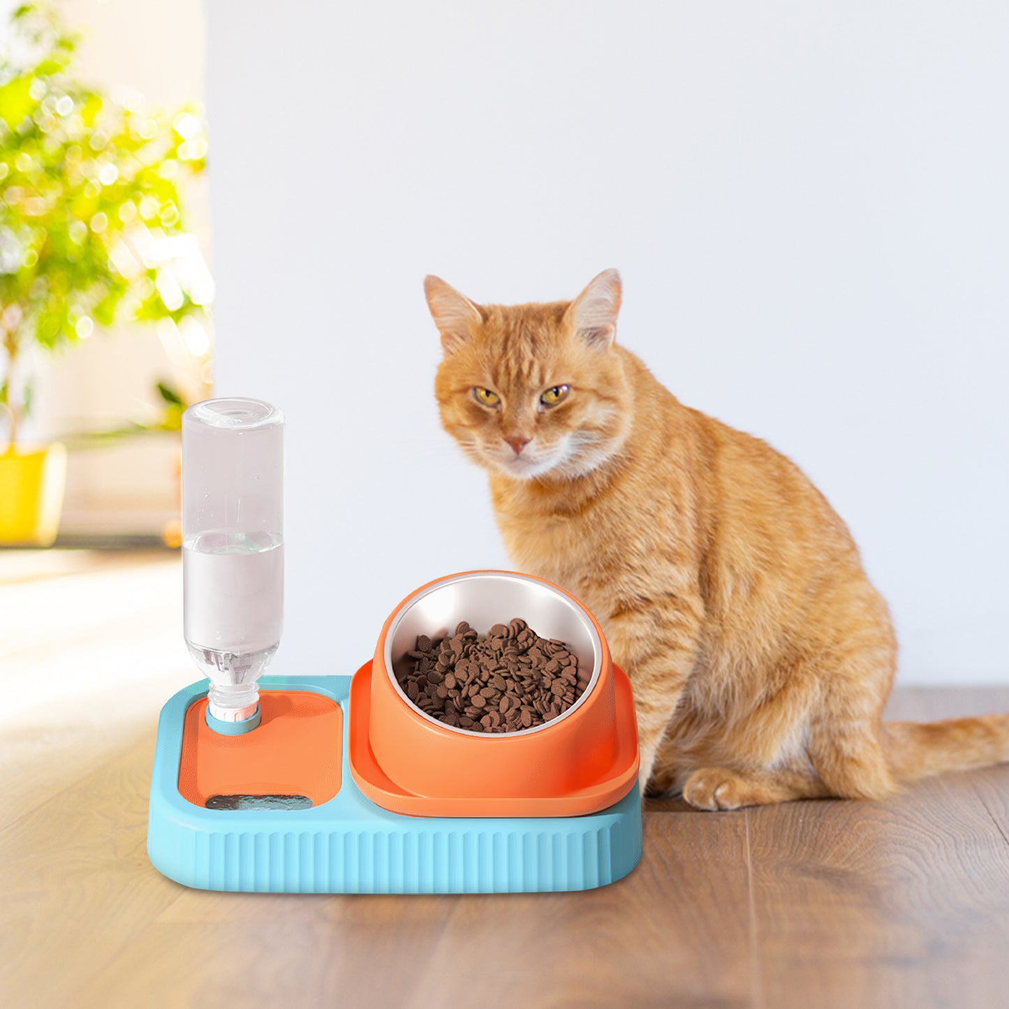 3 in 1 Pet Bowl: Stainless Steel Raised Cat Pet Food Bowls with Water Dispenser Slow Feeding Bowl for Cats Puppy Small Dogs