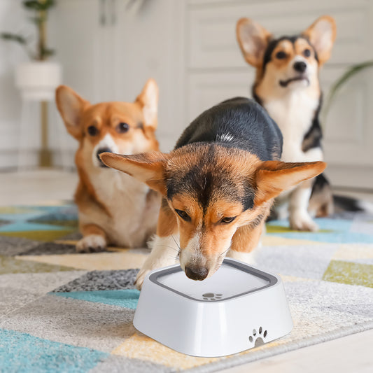 dog bowls no spill dog travel water bowl no spill cat water bowl slobber stopper water bowl splash-free dog water bowl