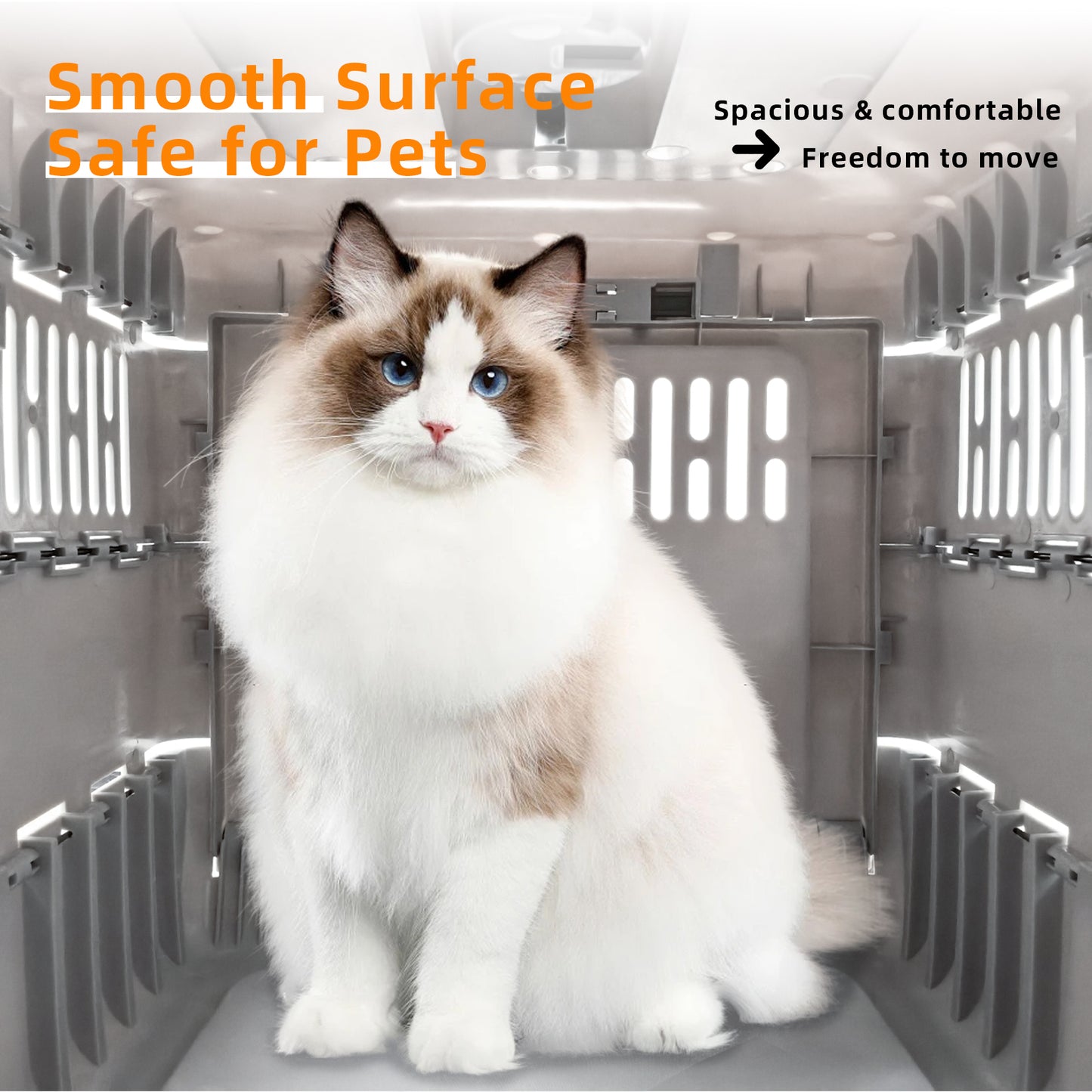Portable Plastic Cat Kitten Travel Carrier Pet Carry Crate Collapsible Design