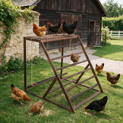 Chicken Playground with Top Platform, Wooden Roosting Bar for Poultry, 36 in Tall Jungle Gym with Balance Swing, Sanded Pine Perches for Backyard Farm Coop