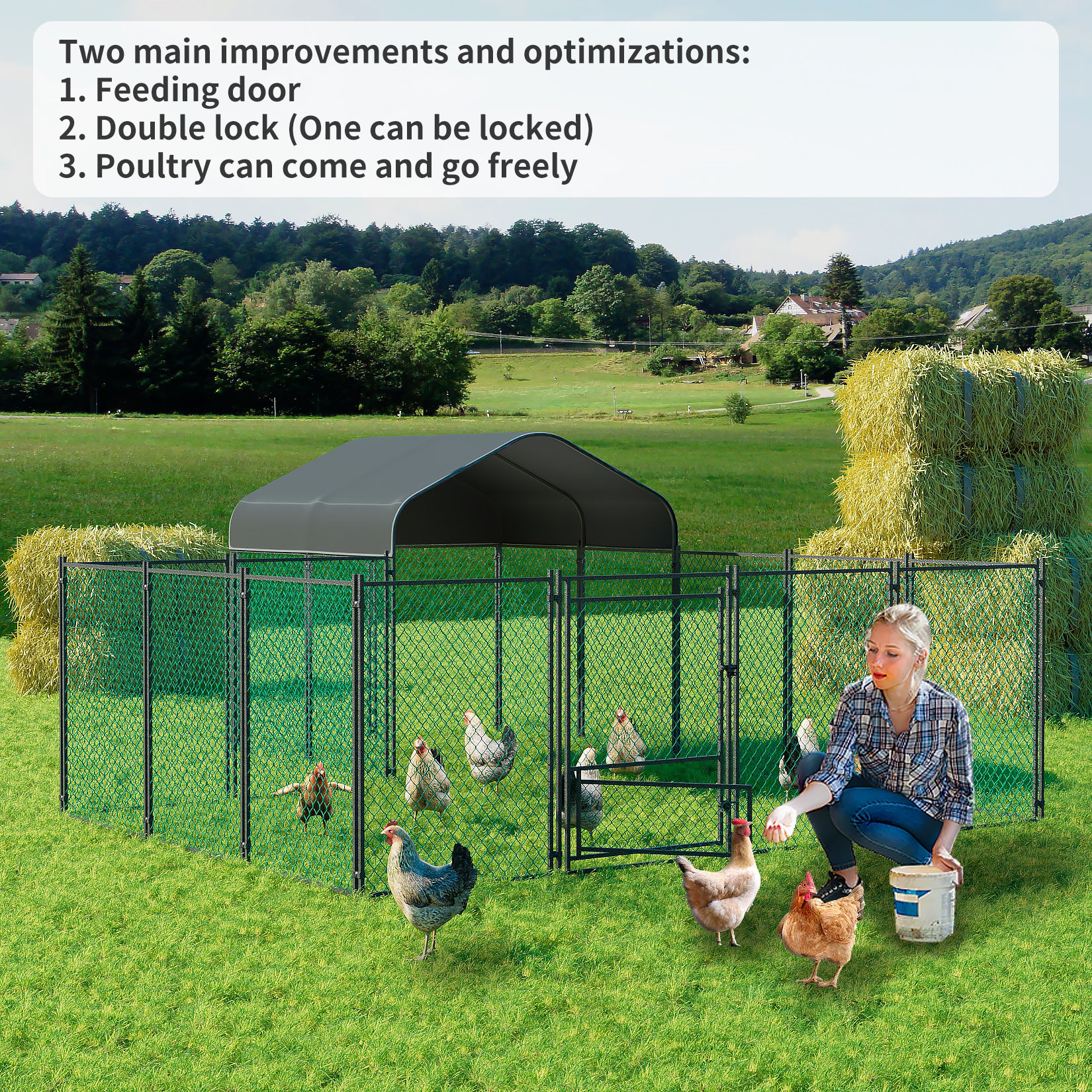 Chicken coop outlet fence