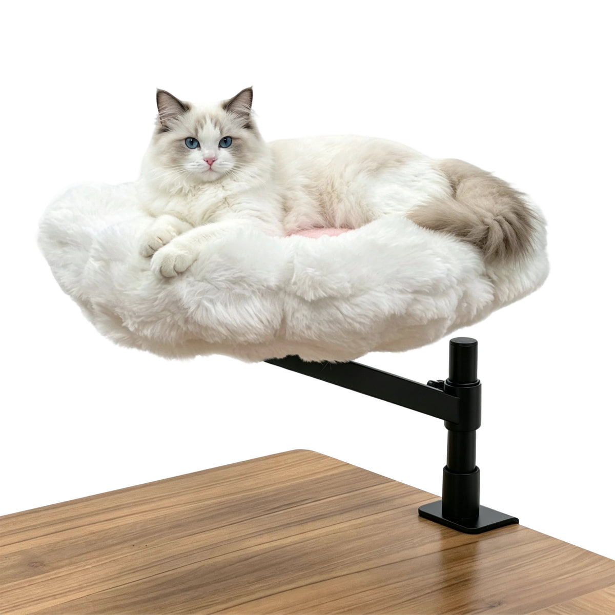 Cat Desk Bed: Elevated Desk Mount Cat Bed with Clamp-on, 360°&nbsp;Rotating &amp; Height Adjustable Support Clamp, Padded Soft Flower Shaped Nest Bed for Kittens