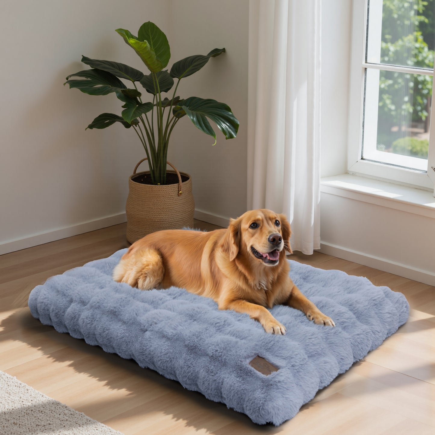2025 Fluffy Dog Cat Bed: Deluxe Plush Dog Bed with Supportive Base Comfort Pet Sleeping Mat Crate Bed with Removable Cover for Different Sizes Dogs Breeds