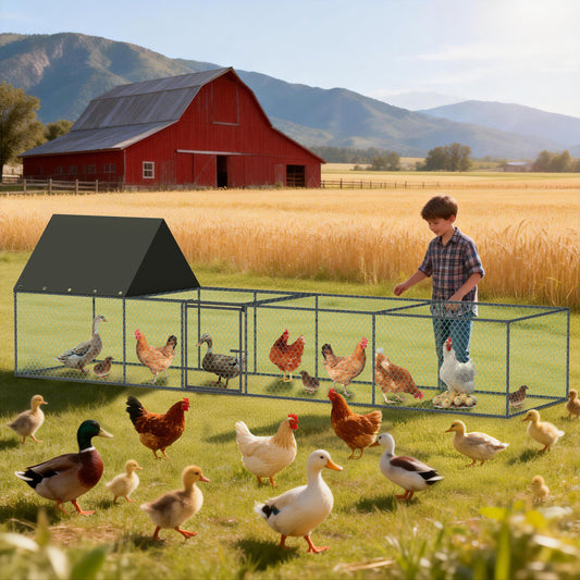 Metal Chicken Coop Outdoor Walk-In Hen House, Small Chicken Cage with Roof Cover, Heavy Duty Poultry Run Pen for Ducks and Quails