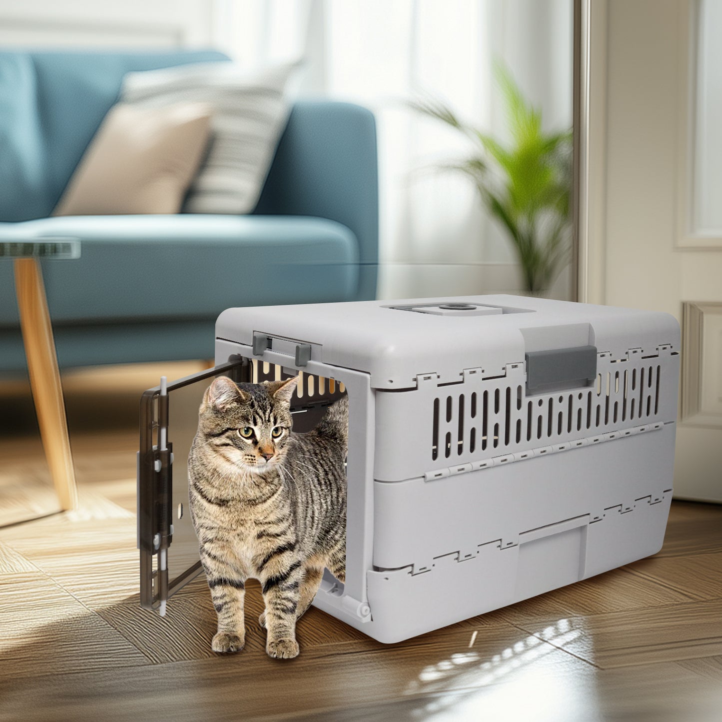 Portable Plastic Cat Kitten Travel Carrier Pet Carry Crate Collapsible Design