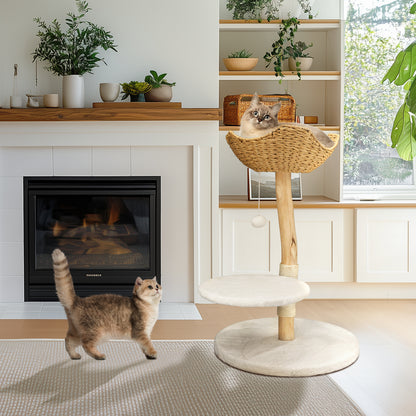 Solid Wood Cat Tree: Kitten Cat Tree Tree-like Activity Tower Center with Plush Cushion Cozy Rest Dangling Toy Ball Sisal Scratching Post for Indoor Cats