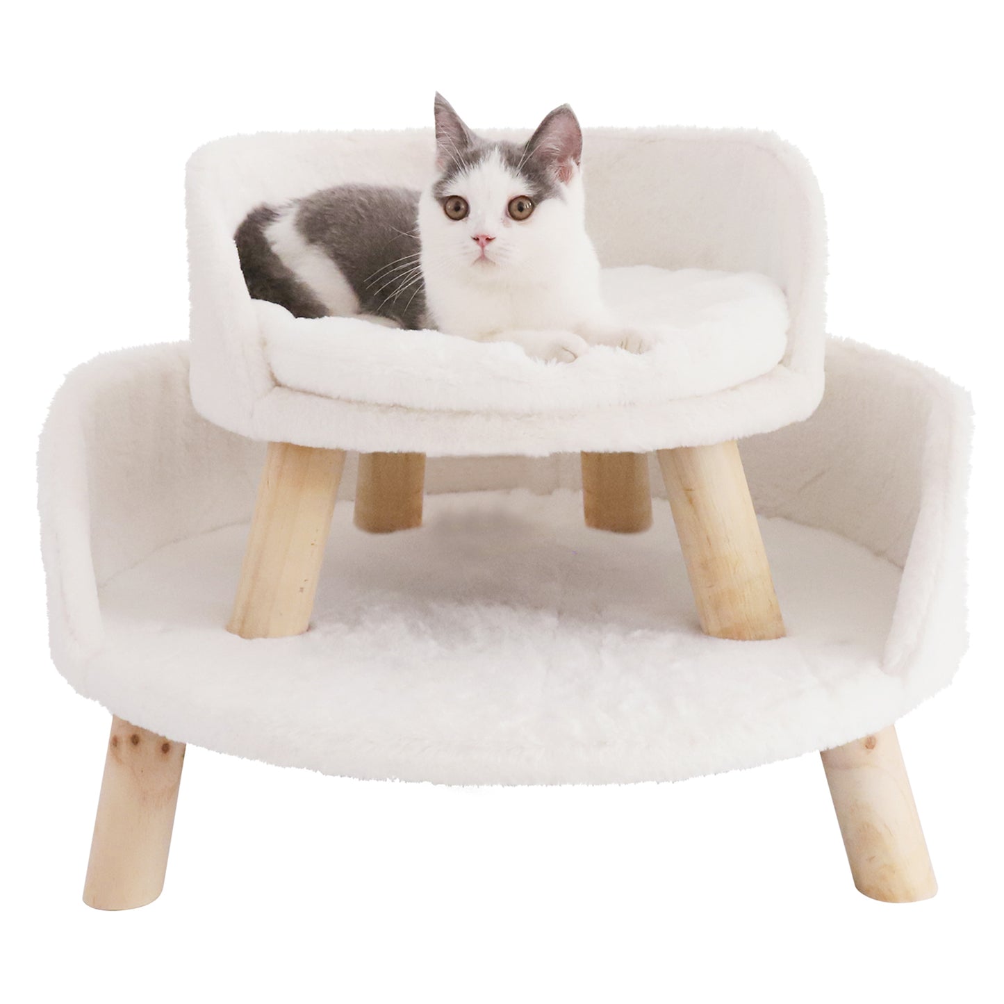cat cushion bed cat chair bed cat stool bed pet chair bed cat cushion bed pet plush bed cat sleeping bed pet cat dog bed pet raised bed cat nesting bed