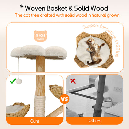 Cat Climbing Tree: Modern Cat Tree Activity Tower with Plush Cushion Sisal Scratching Post Cozy Kitten Play House for Multiple Cats