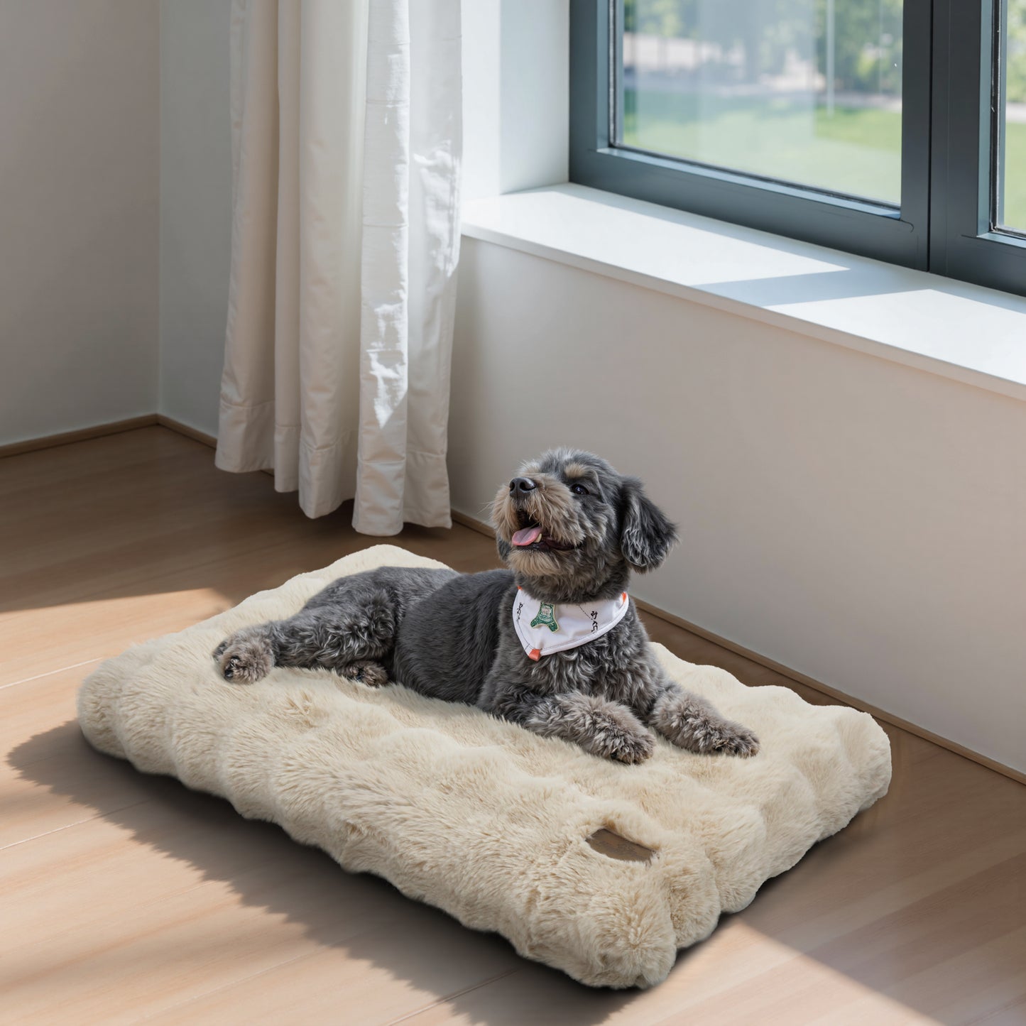 2025 Fluffy Dog Cat Bed: Deluxe Plush Dog Bed with Supportive Base Comfort Pet Sleeping Mat Crate Bed with Removable Cover for Different Sizes Dogs Breeds