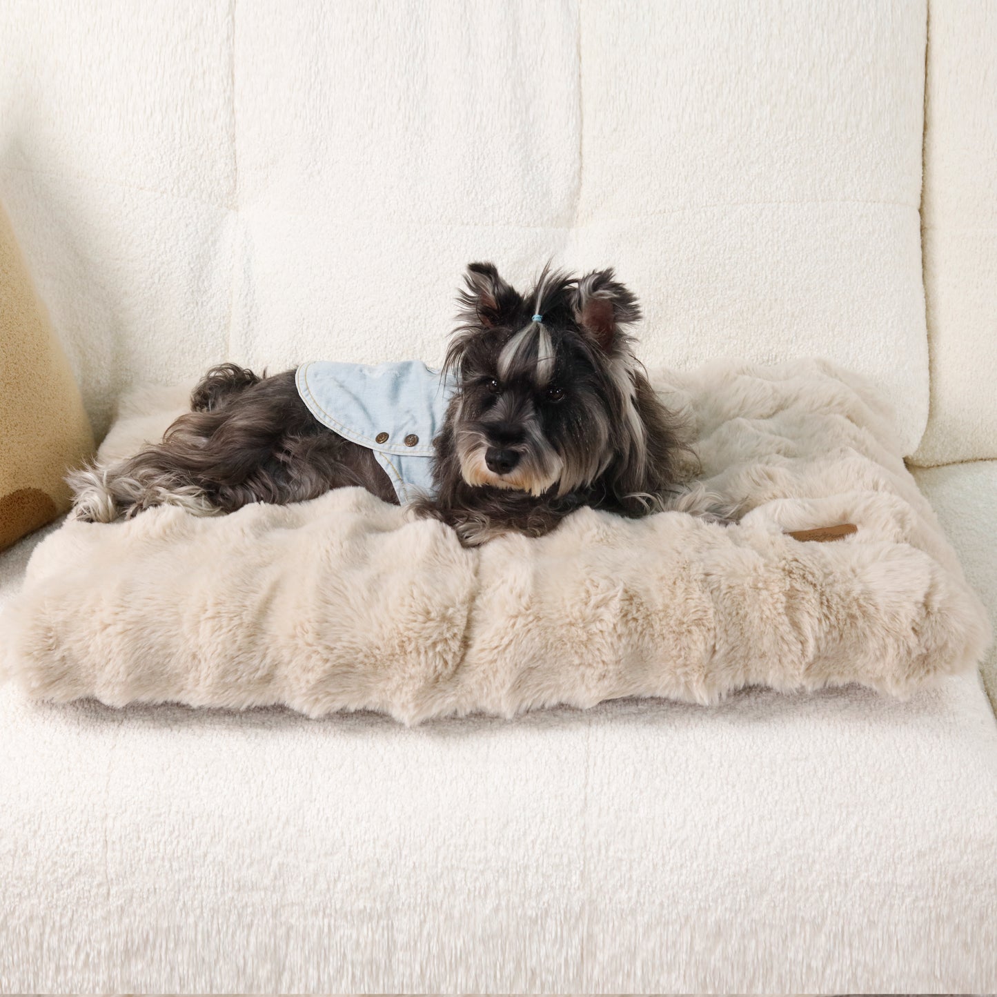 2025 Fluffy Dog Cat Bed: Deluxe Plush Dog Bed with Supportive Base Comfort Pet Sleeping Mat Crate Bed with Removable Cover for Different Sizes Dogs Breeds