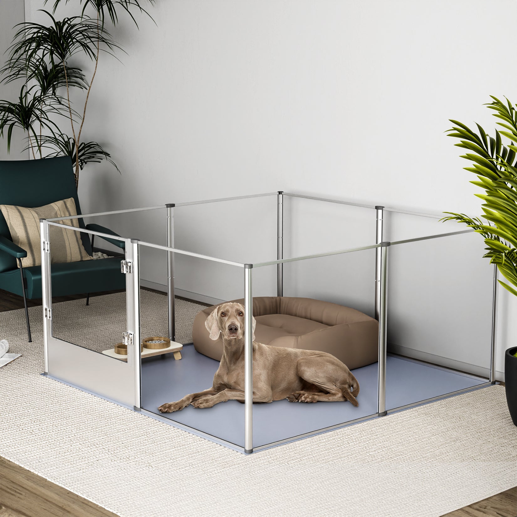 Acrylic dog deals kennel