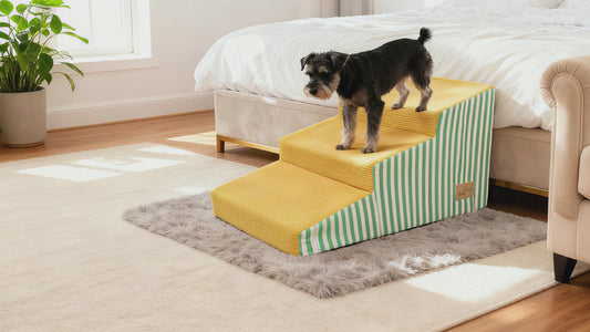 Pet Dog Stairs for High Beds: 3 Steps/ 4 Steps /5 Steps Bright Pet Stairs High-Density Foam Dog Ramp Step with Gentle Slope Safe for Sofas, for Puppies & Senior Pets