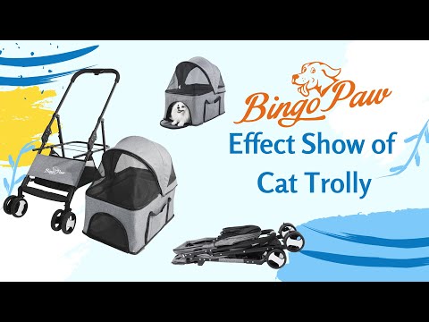 Pet Stroller with Rain Cover Dog Cat Pushchair Trolley Detachable Carrier Folding