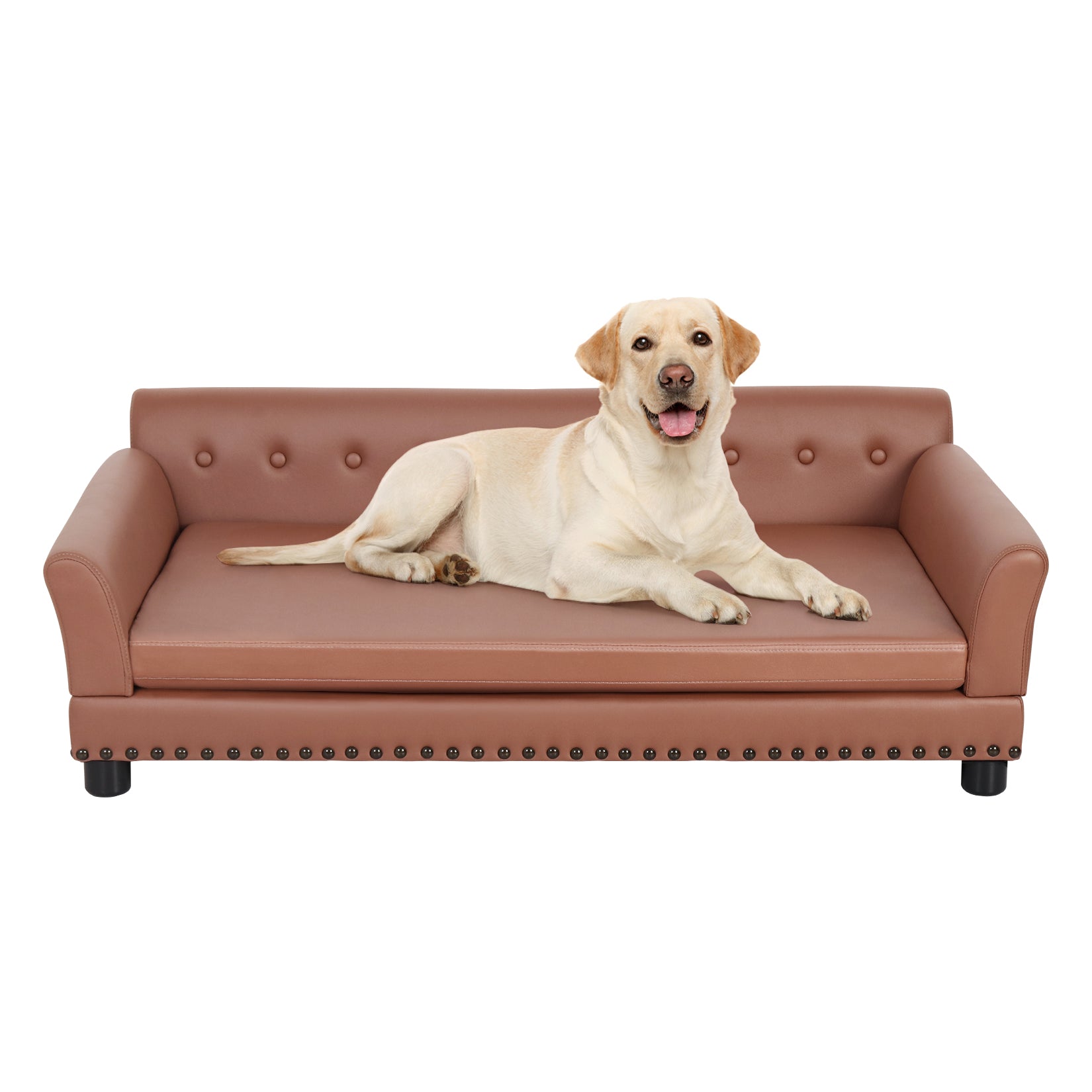 Extra large dog outlet sofa