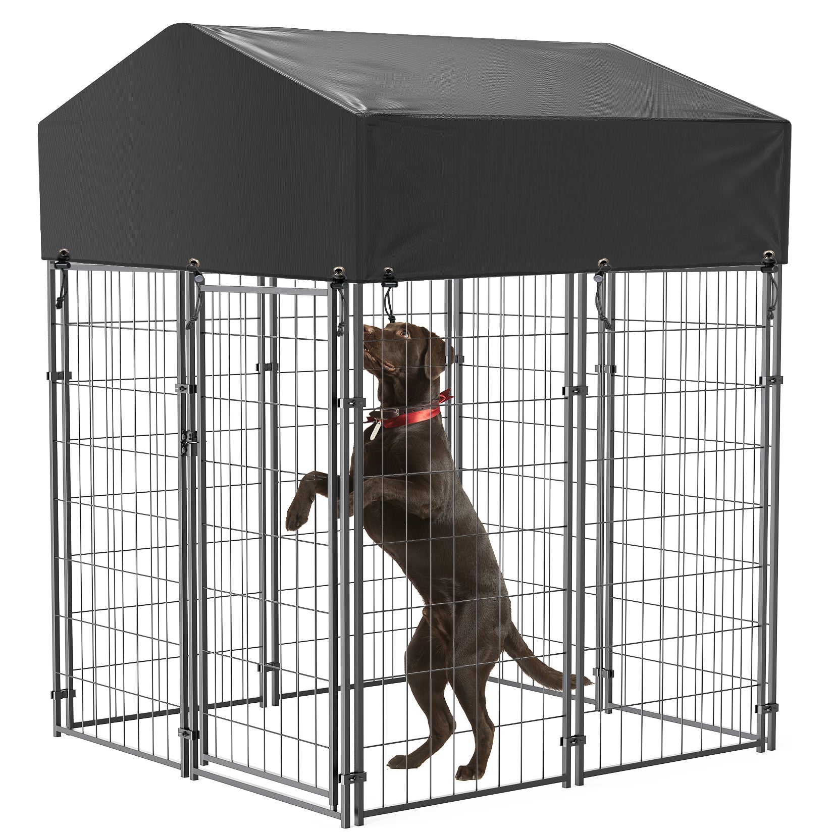 Large black dog clearance kennel