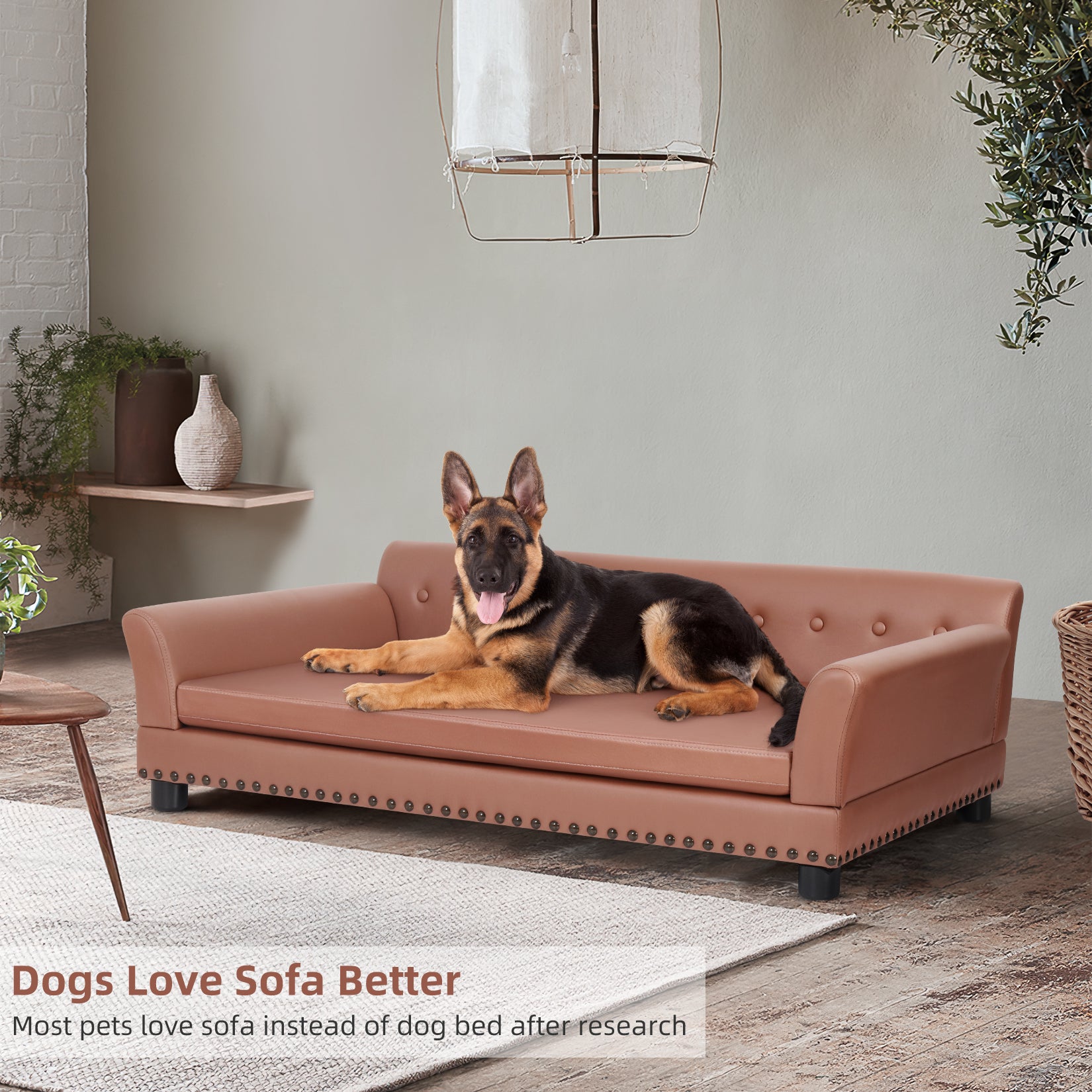 Dog sofa clearance mat