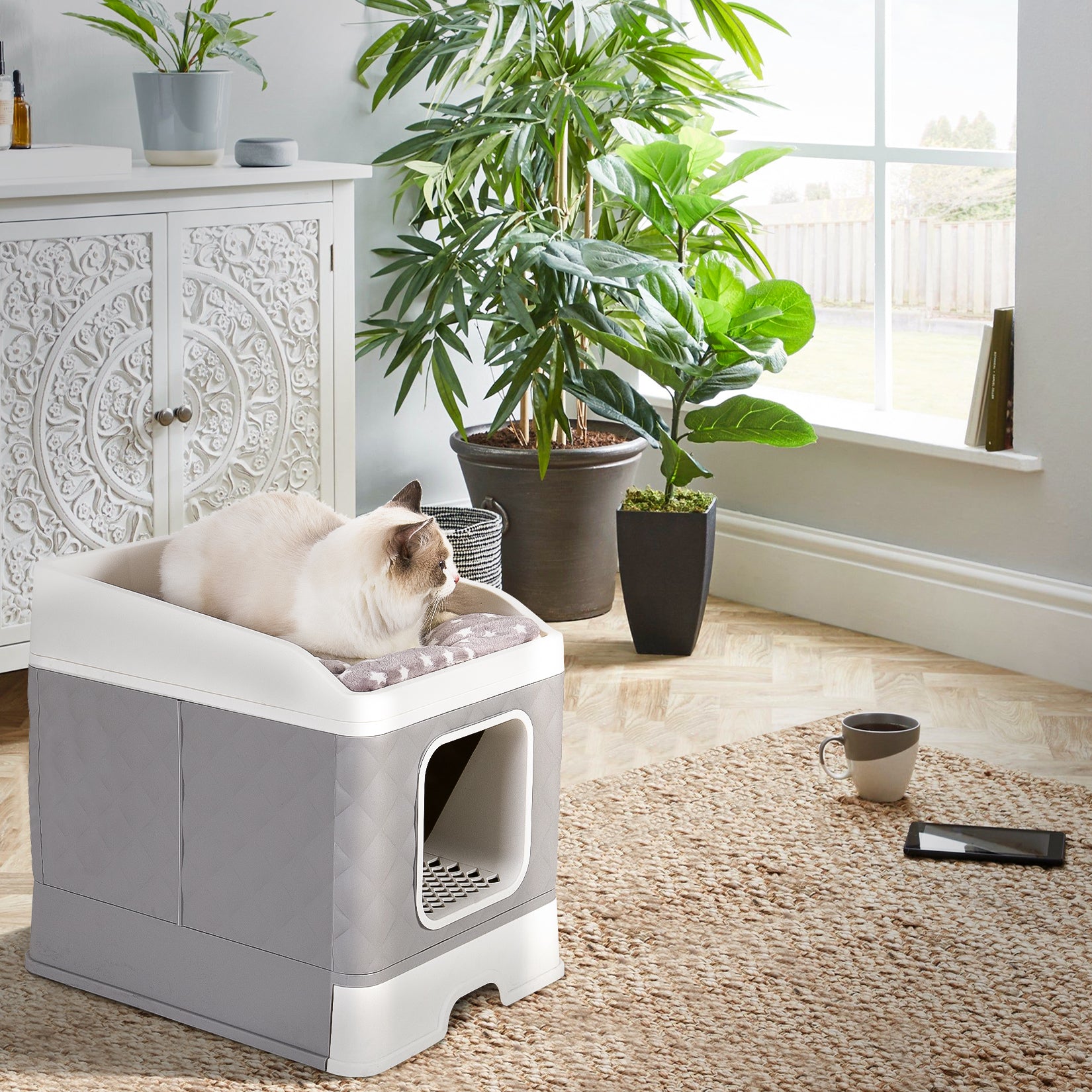 Cat litter box discount fancy