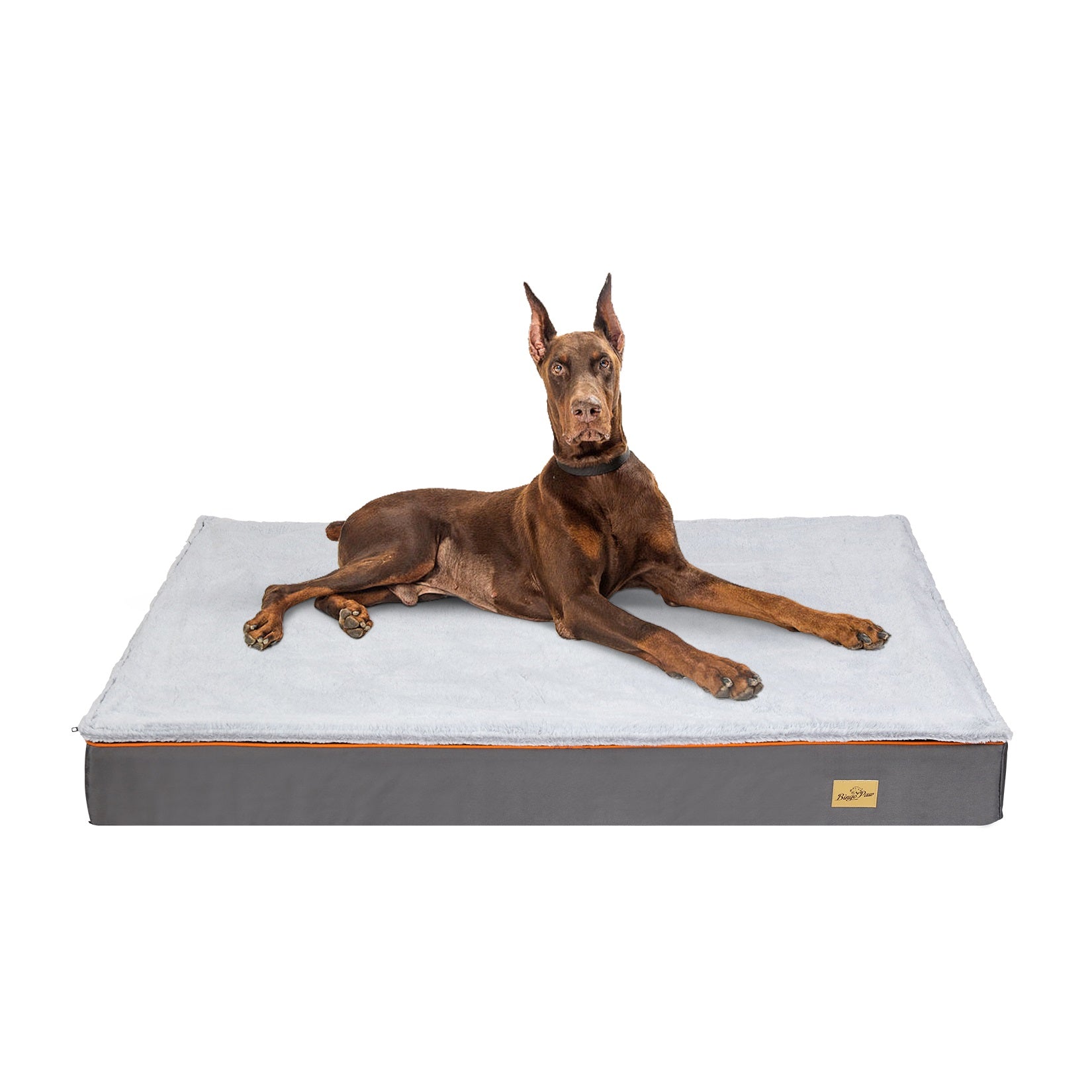 Jumbo dog best sale beds on sale