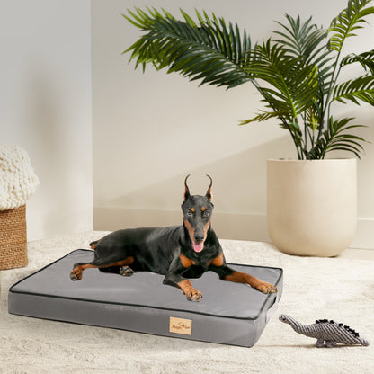 Waterproof lining inside prevent accidental urine from getting into the bed.  Sponge foam wrapped in non-woven fabric for protection, keep your dog get a tight sleep.  Non-slip bottom is made of 600D oxford cloth, waterproof, keeps the bed in place.  With a handle grip allows easy carry outside for use.  Removable hand washing/ machine washable cover.  Hidden zipper, prevents from being chewed by pets.  Dog bed prevents cold and skin disease away from your doggies, makes your pets feel safe.