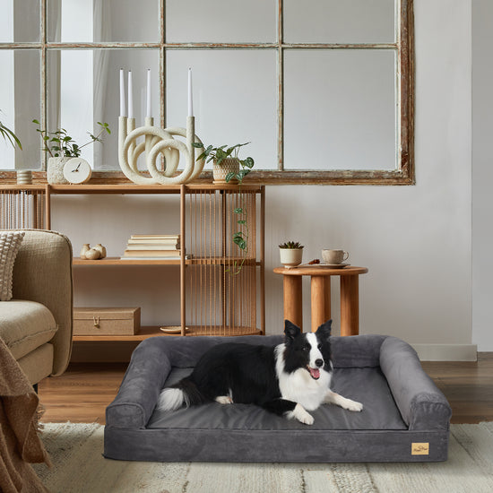 Large Orthopedic Sofa Dog Bed Pet Couch with Washable Cover BingoPaw