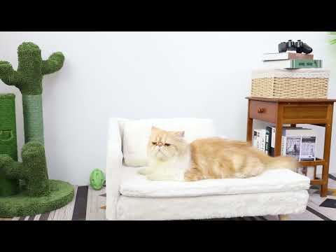 cat cushion bed L shape dog bed dog sofa bed dog sofa couch elevated dog sofa  cat stool bed cat sleeping bed dog bed with legs pet raised bed dog nesting bedWanna get a dog sofa with style and practicability? Try our BingoPaw dog couch bed, it features a simple minimalist look but still be functional for puppies to lounge or rest. Soft plush linter fabric on the surface, solid rubber wood legs won’t wobble.