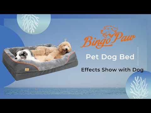 Orthopedic Dog Pet Bed Sleep Bedding Washable Cover Waterproof Lounge